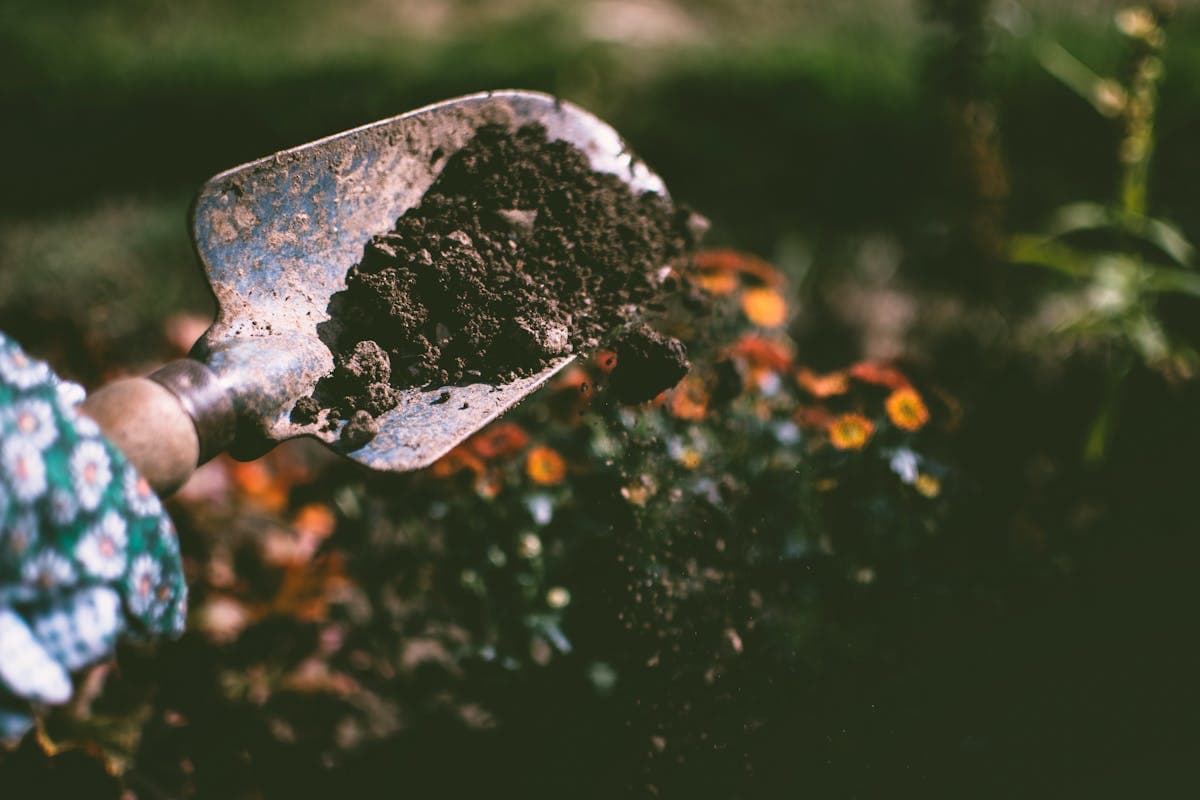 How to Price Your Lawn Care Services in 2026