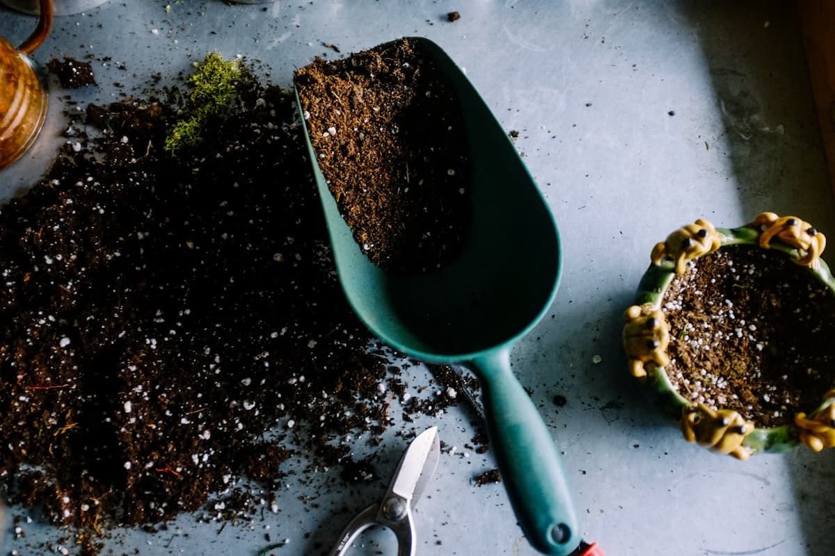 How to Start a Lawn Care Business in the UK (2026 Guide)